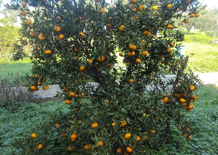 Appartement Nostos Koróni