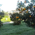 Nostos