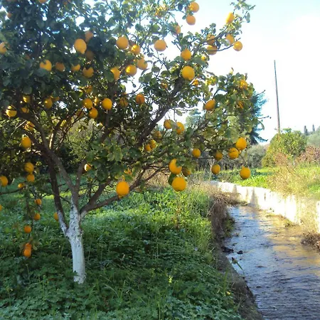 Nostos Koróni