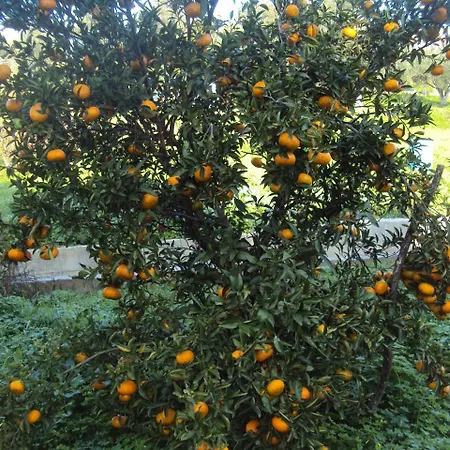 Appartamento Nostos Koróni