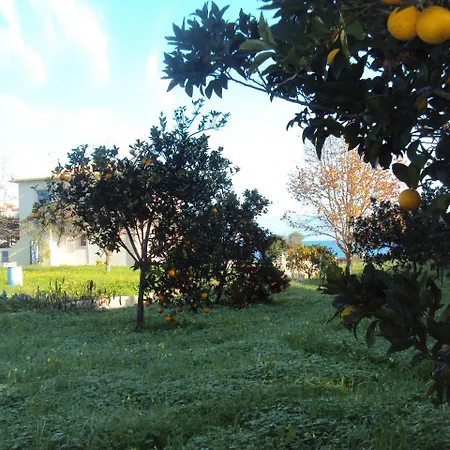 Nostos * Koroni (Messinia)