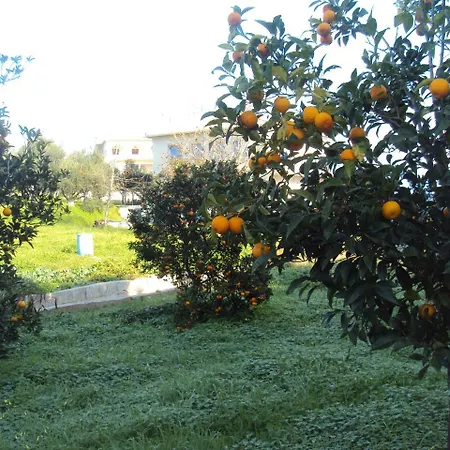 Nostos