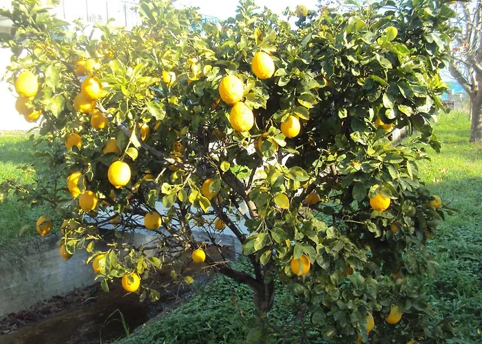 Nostos Koroni (Messinia)