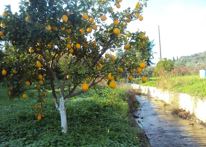 Nostos Koroni (Messinia)