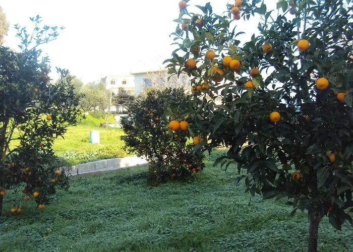 Nostos